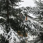 Konopka Forest &