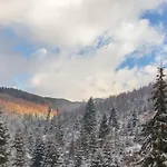 Konopka Forest & *