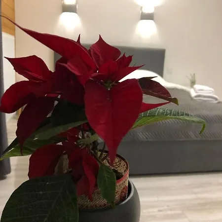 Konopka Forest & Hotel *