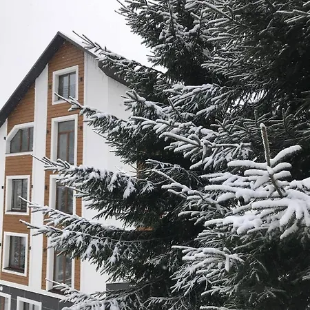 Konopka Forest & Bukovel