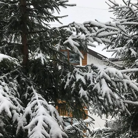 Konopka Forest &