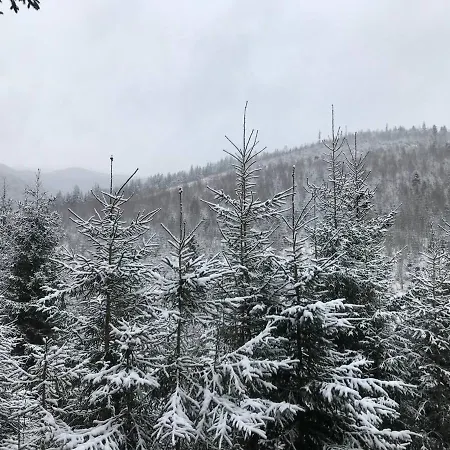Konopka Forest & Отель Буковель