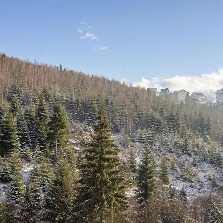 Konopka Forest & *