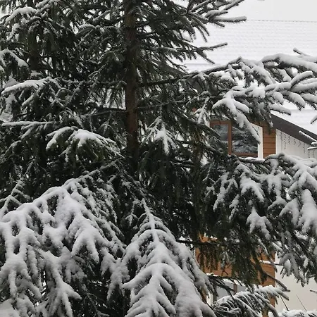 Konopka Forest & Hotel Bukovel