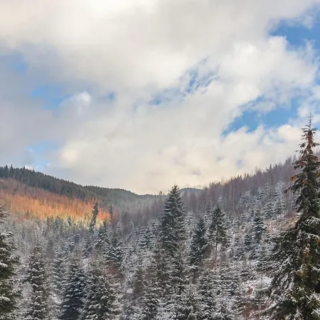 Konopka Forest & *