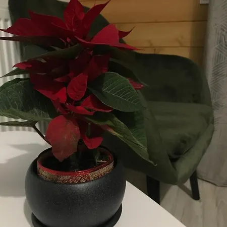 Hotel Konopka Forest & Bukowel