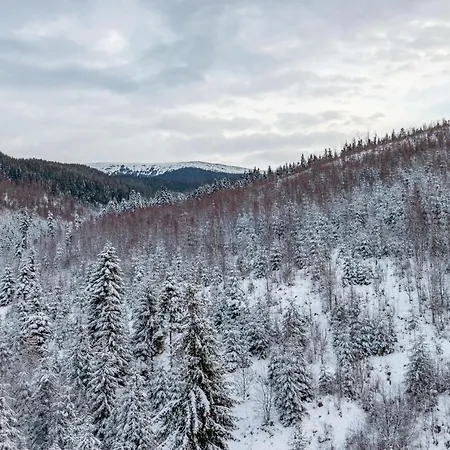 酒店 Konopka Forest & 布克维