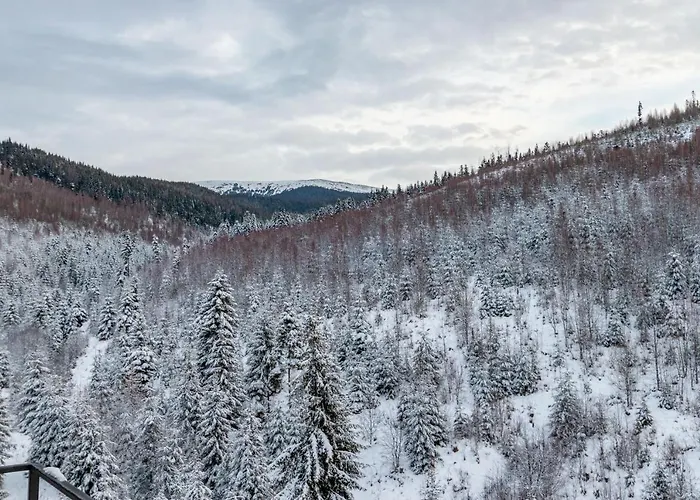 Szálloda Konopka Forest & Bukovel