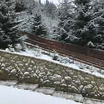 Konopka Forest &