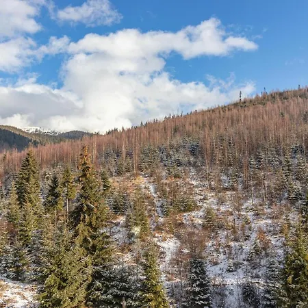 Konopka Forest & بوكوفِل