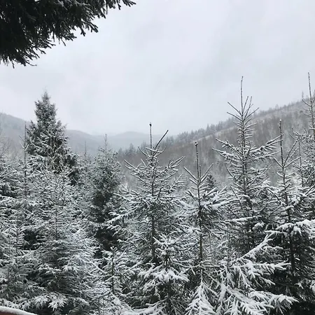 Konopka Forest & فندق *