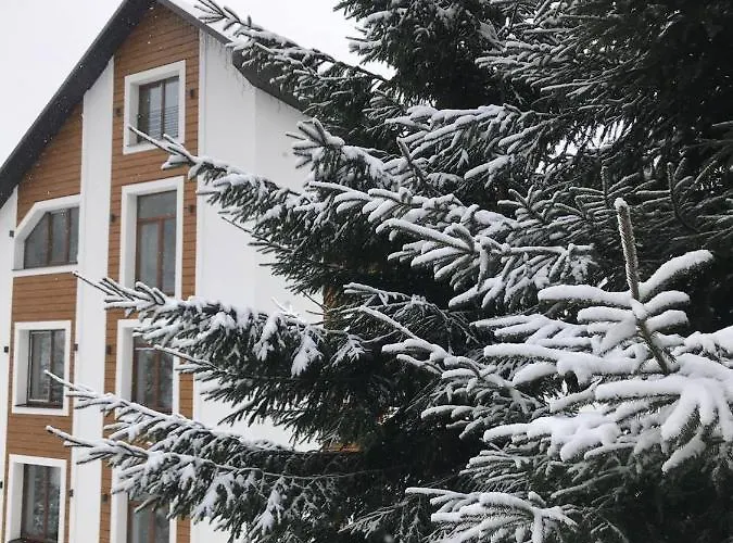 Konopka Forest Home&spa Bukovel