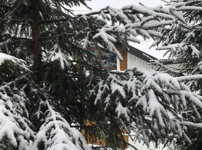 Konopka Forest Home&spa