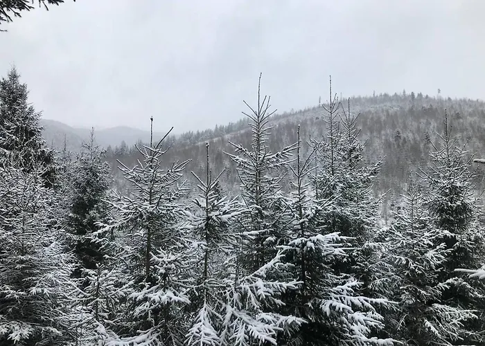 Konopka Forest Home&spa Hotel Bukovel