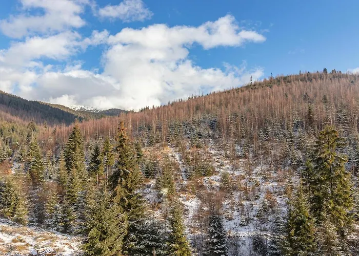 Konopka Forest & 布克维