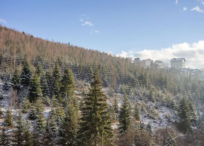 Konopka Forest & *