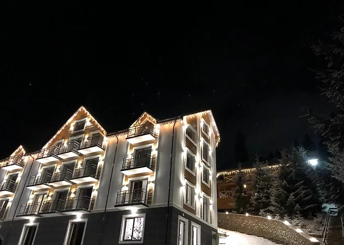 Konopka Forest & 布克维