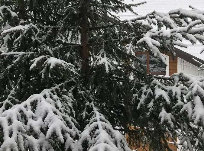 Konopka Forest Home&spa Hotel Bukovel