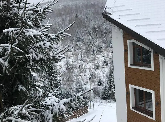 Konopka Forest Home&spa