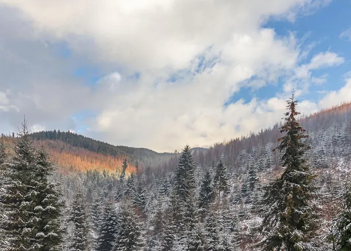 Konopka Forest Home&spa *