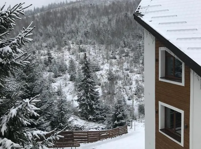 Konopka Forest Home&spa Hotel