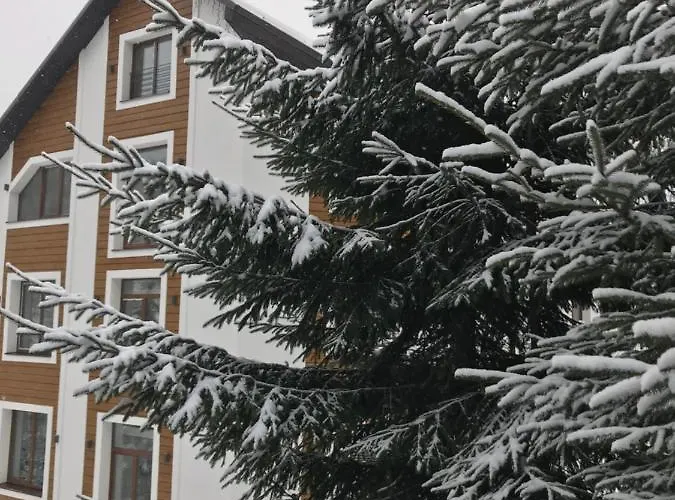Konopka Forest Home&spa