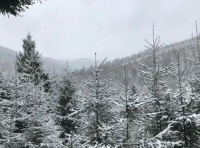 Konopka Forest & 酒店 *