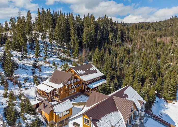 Konopka Forest & 酒店